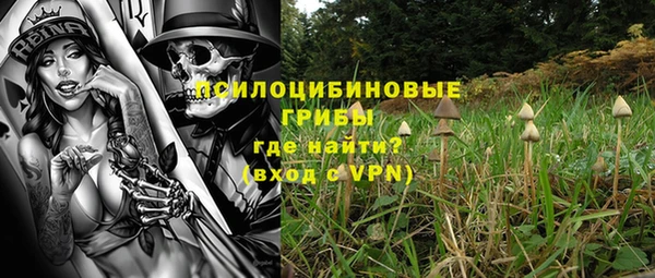 шишки Абдулино