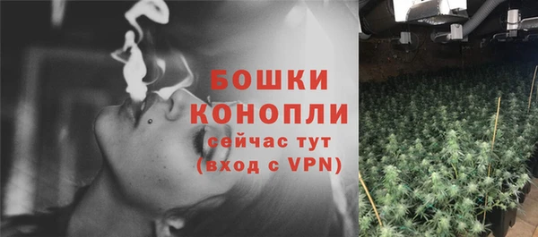 прущие грибы Новокубанск