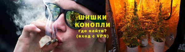 прущие грибы Новокубанск
