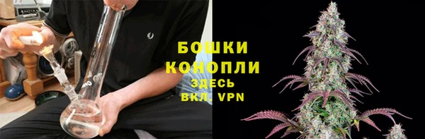 шишки Абдулино
