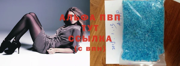 прущие грибы Новокубанск