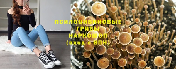 прущий лед Валдай