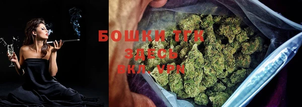 прущие грибы Новокубанск