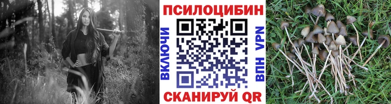 Галлюциногенные грибы MAGIC MUSHROOMS Тайга