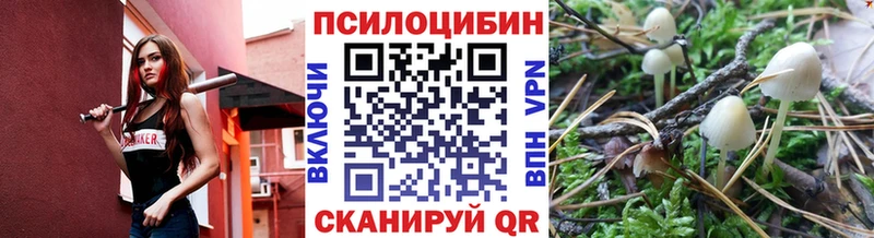 Псилоцибиновые грибы Psilocybine cubensis Тайга
