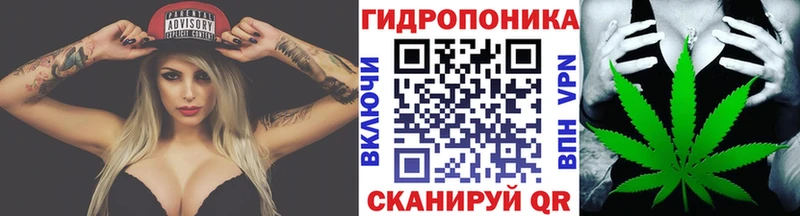 Бошки Шишки MAZAR  продажа наркотиков  Тайга 